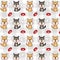 Shiba inu vector seamless pattern