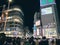 Shibuya Neon Light and never ending crowd