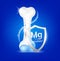 Shield aluminum magnesium transparent and bone human healthy. Foods vitamins minerals logo products template design.