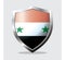 Shield icon vector illustration of Syria country flag