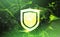 Shield over green Data protection privacy concept GDPR Cyber security network background. shielding personal information