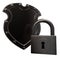 Shield and padlock