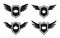 Shield wing crown emblem badge black glyph set