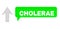 Shifted Cholerae Green Phrase Balloon and Mesh Network Arrow Up