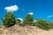 Shifting sand dune at former military training area Jueterbog