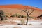 Shifting sand dune in Sossusvlei national park, Namibia