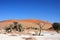 Shifting sand dune in Sossusvlei national park, Namibia