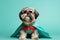 Shih Tzu Dog Dressed As A Superhero On Mint Color Background