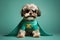 Shih Tzu Dog Dressed As A Superhero On Mint Color Background