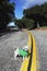 Shih Tzu Dog with green hoody on in middle of road on double yellow road, Ojai, California, USA