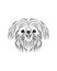 Shih Tzu dog line art, tribal. Freehand vector illustration.