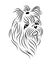 Shih Tzu dog line art, tribal. Freehand vector illustration.