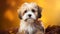 Shih Tzu dog portrait close up. Shih Tzu dog. Horizontal banner poster background. Copy space. Photo texture AI generated