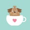 Shih Tzu dog sitting in pink cup with heart. Cute cartoon character. Flat design. Blue background.