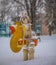 shih tzu dog stands on a children\'s rocking chair in the park