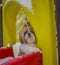 shih tzu dog stands on a children\'s slide in the park