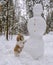 shih tzu dog stands in the snow near a snowman in the forest