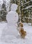 shih tzu dog stands in the snow near a snowman in the forest