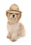 Shih tzu dog wearing a Safari explorers hat