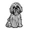 Shih Tzu, toy dog, Dog, line drawing black and white, cartoon