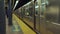 Shiiny clean metallic stainless steel aluminum 6 train subway arrives at 59th Street Station in New York city