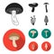 Shiitake, brown cap boletus, enokitake, milk. set collection icons in black, flat style vector symbol stock illustration