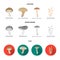 Shiitake, brown cap boletus, enokitake, milk. set collection icons in cartoon,flat,monochrome style vector symbol stock