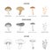 Shiitake, brown cap boletus, enokitake, milk. set collection icons in cartoon,outline,monochrome style vector symbol