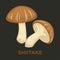Shiitake edible mushroom flat vector icon