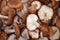 Shiitake edible mushrooms at retail display