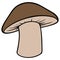 Shiitake Mushroom