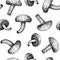 Shiitake mushrooms background. Adaptogenic plants hand-sketched seamless pattern. Medicinal mushroom sketches. Perfect for cooking