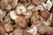 Shiitake mushrooms, full frame cover photo. Lentinula edodes. Shiitake champignions. Mushroom background texture.