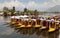 Shikara boats on Dal Lake with houseboats in Srinagar