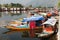 Shikara boats on Dal Lake with houseboats in Srinagar - Shikara is a small boat used for transportation in