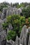 Shilin Stone Forest