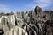 Shilin Stone Forest in Kunming, Yunnan, China