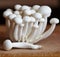 Shimeji mushrooms, hypsizygus tessellatus