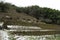 Shimizudani refinery ruins in Iwami ginzan silver mine (world heritage)