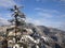 SHIMLA SNOW TREE IN WHITE MOUNTAIN