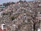 Shimla townscape, India