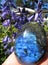 Shimmering labradorite crystal in the hand with blue spring flowers in the background