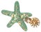 Shimmering Sea Green Starfish Pearl Rhinestone Charm