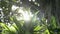 Shimmering sunrays behind tropical plants, Beauty of sun shining through the green leaves of the tree.
