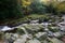 Shimna River in Tollymore Forest Park