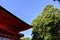 Shimogamo-jinja Shrine of fresh verdure in the evening, Kyoto, Japan