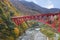 Shin yamabiko red bridges to travel in the train to Kurobe gorge during the Autumn Season.
