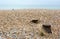 Shingle beach on the English coast with wooden groyne tops