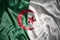 shining algerian flag