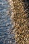 Shining beach pebble stones